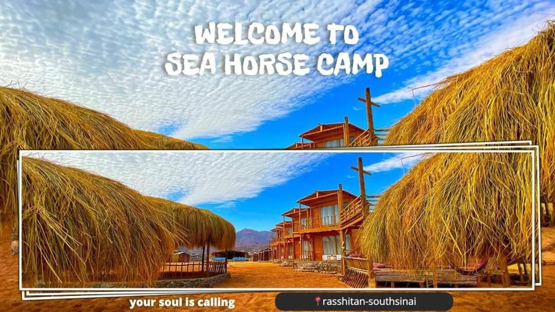 Sea Horse Hotel Nuweiba` Екстериор снимка