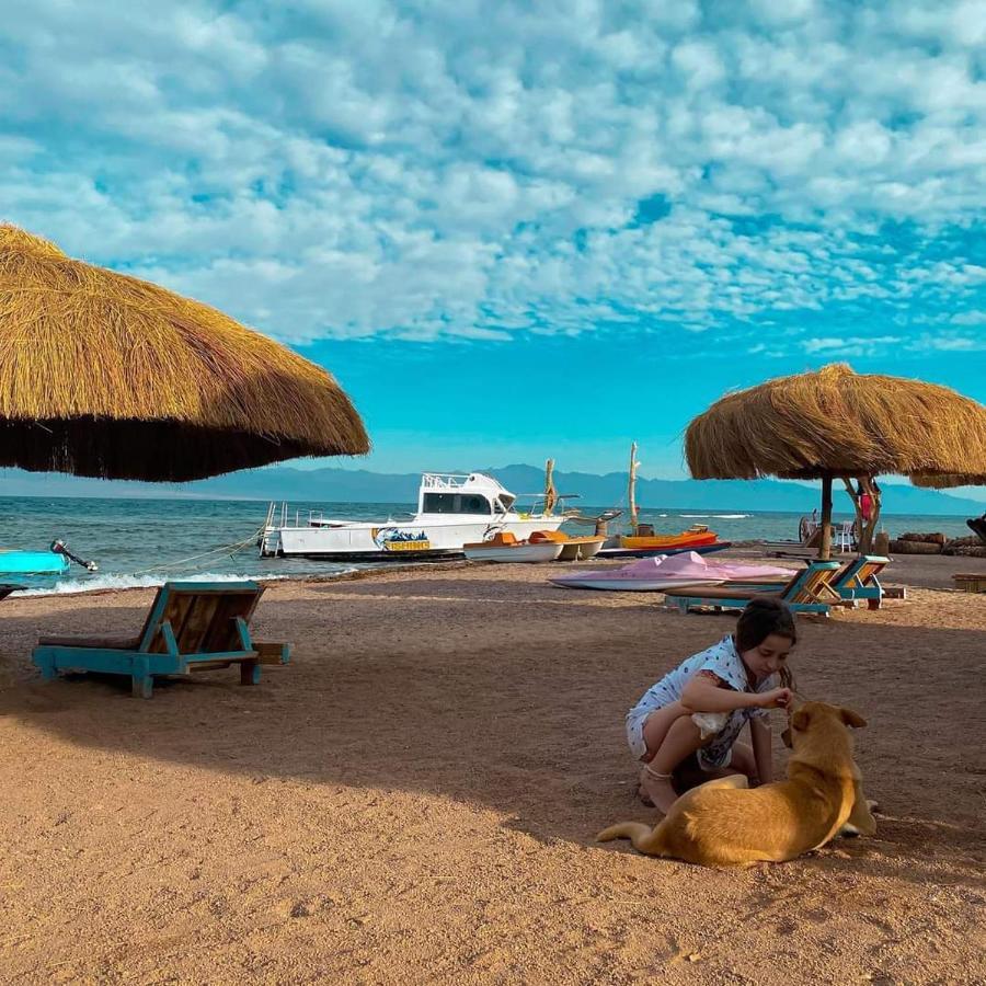 Sea Horse Hotel Nuweiba` Екстериор снимка